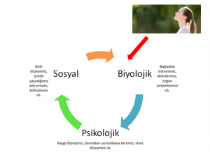 Biyopsikososyal Model Ve Dogru Nefes Alip Verebilme Medaim Yanik Klinigi
