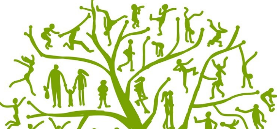 Dissosiyatif Kimlik Bozukluğu’nun zaman içinde dallanıp budaklanması.